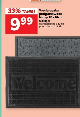 Wycieraczka podgumowana Harry 60x40 cm Galicja promocja w Hitpol
