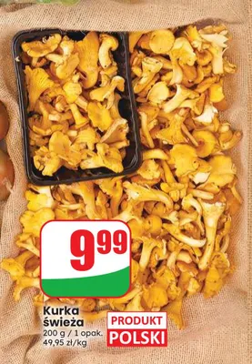 Kurka świeża polska promocja w Dino