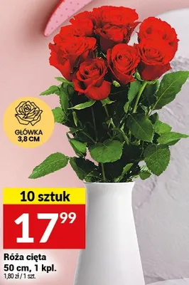 Róża cięta promocja w Twój Market