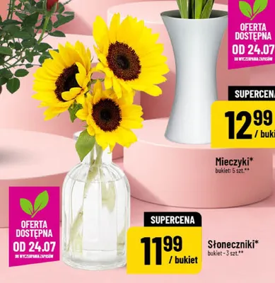 Słoneczniki promocja w POLOmarket
