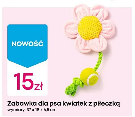 Zabawka dla psa kwiatek z piłeczką promocja w Pepco