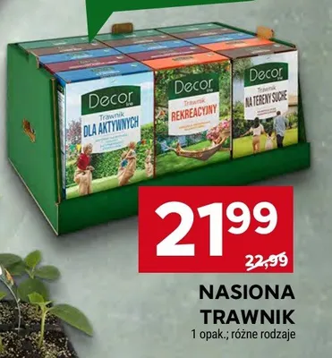 Nasiona trawnik dla aktywnych Decor promocja w Stokrotka