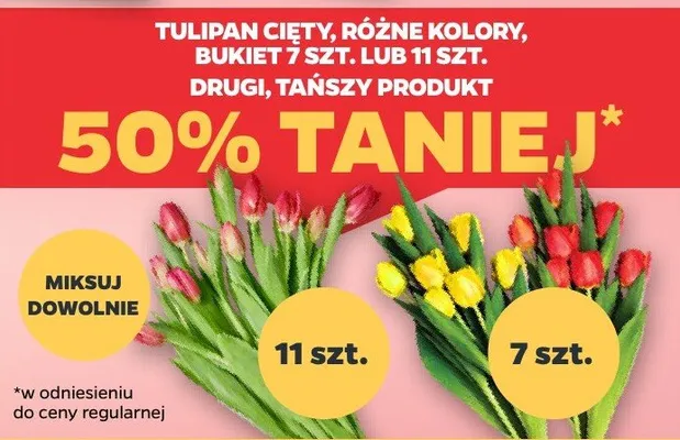 Tulipan cięty, różne kolory bukiet 7 szt. promocja w Netto