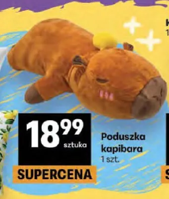 Poduszka kapibara promocja w Delikatesy Centrum