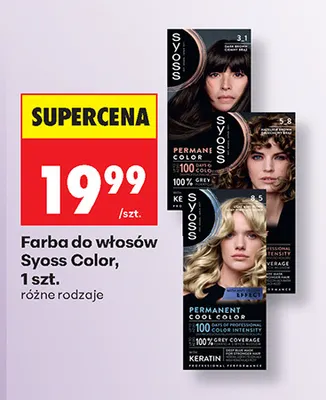Farba do włosów Syoss Color promocja w Biedronka
