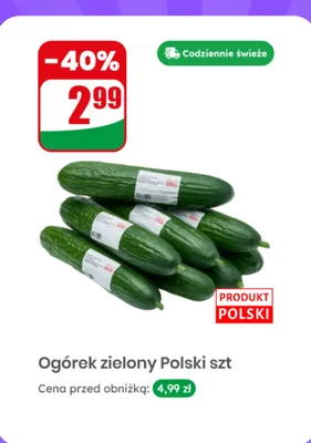 Ogórek zielony polski 1 szt. promocja w Dino