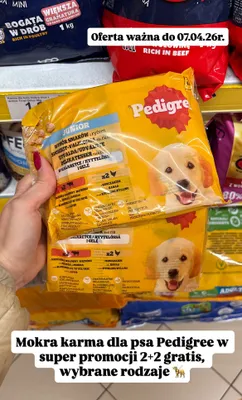 Mokra karma dla psa różne rodzaje promocja w Dino