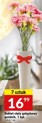 Bukiet cięty gałązkowy goździk promocja w Twój Market