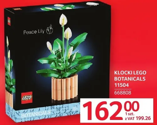Klocki LEGO Botanicals 11504 promocja w Selgros