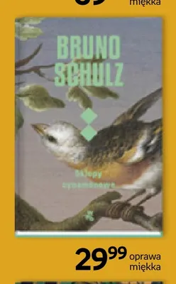 Książka Sklepy cynamonowe Bruno Schulz promocja w Empik