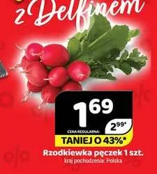 Rzodkiewka pęczek polska promocja w Delfin