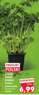 Pietruszka polska w donizce sztuka promocja w Kaufland
