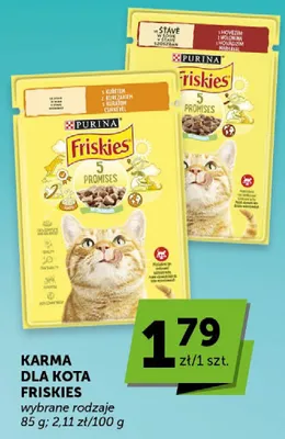 Karma dla kota wybrane rodzaje promocja w Groszek