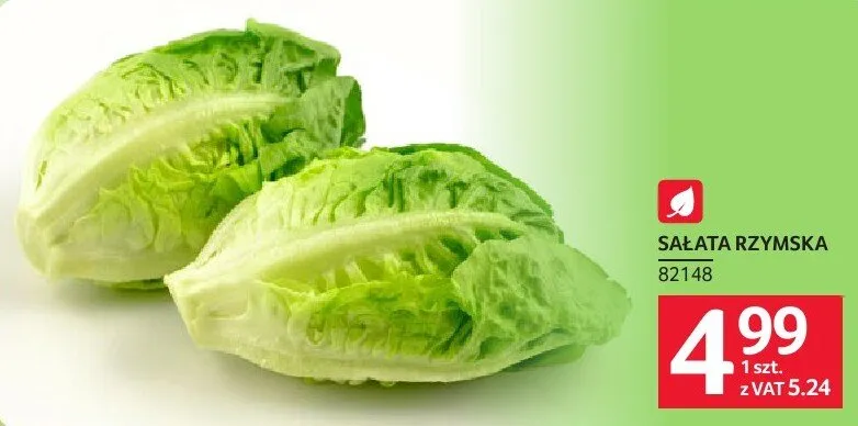 Sałata rzymska promocja w Selgros