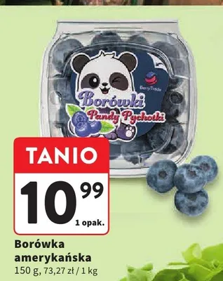 Borówka amerykańska promocja w Intermarche