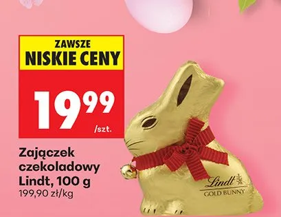 Zajączek czekoladowy promocja w Biedronka