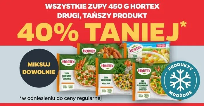 Zupy 450 g (różne rodzaje) promocja w Netto
