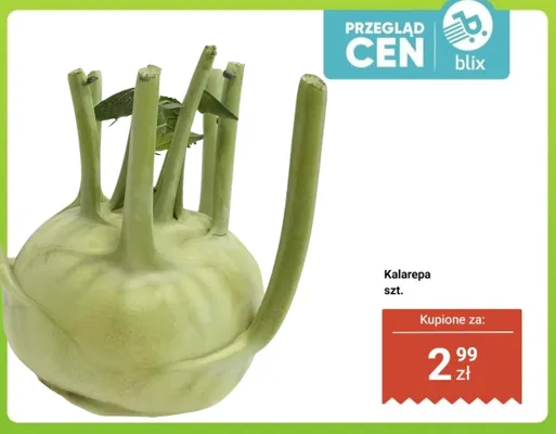 Kalarepa promocja w Dino