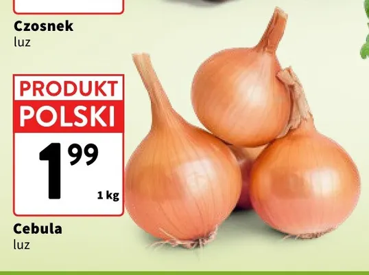 Cebula promocja w Intermarche