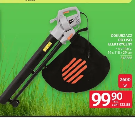 Odkurzacz do liści elektryczny promocja w Selgros