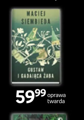 Książka Kai i gadająca żaba Maciej Siembieda oprawa twarda promocja w Empik
