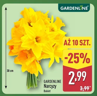Narcyzy bukiet promocja w Aldi