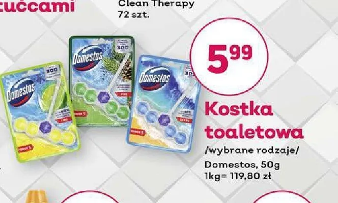 Kostka toaletowa Domestos Power 5 Pine promocja w Bliski