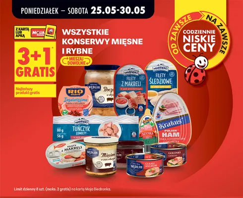 Pasztet promocja w Biedronka