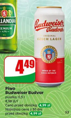Piwo Budweiser Budvar puszka promocja w Dino