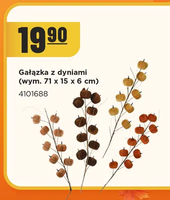 Gałązka z dyniami promocja w MR. DIY