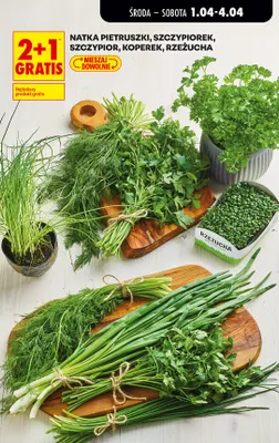 Natka pietruszki promocja w Biedronka