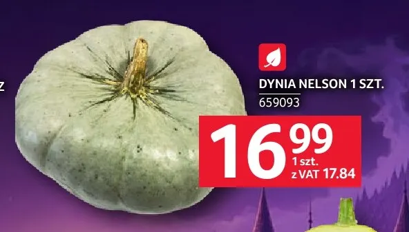 Dynia Nelson promocja w Selgros