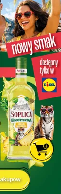 Likier Soplica Egzotyczna ananas karambola 0,5 promocja w Lidl