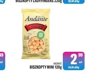 Biszkopty Andante Mini promocja w Tomi Markt