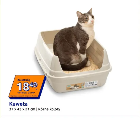 Kuweta 37x43x21 cm promocja w Action