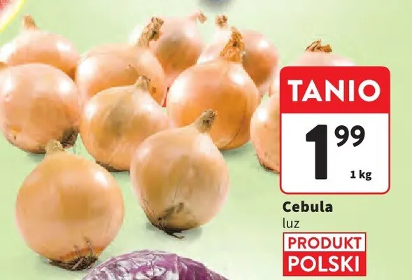 Cebula luz promocja w Intermarche