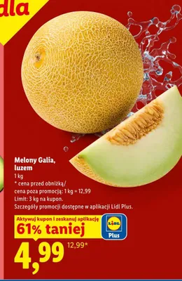 Melony Galia luzem Ryneczek Lidla promocja w Lidl