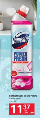Żel do WC Domestos promocja w Selgros