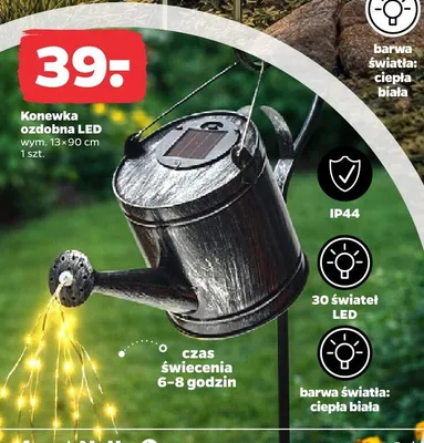 Konewka ozdobna LED promocja w Netto