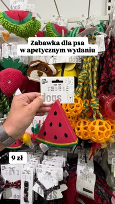 Zabawka dla psa w apetycznym wydaniu for pets promocja w Pepco