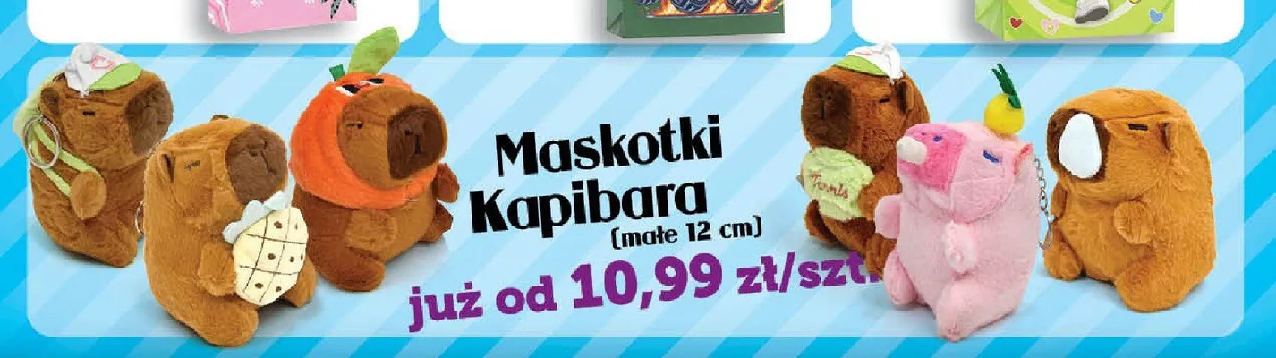 Maskotki Kapibara małe 12cm promocja w TOPAZ
