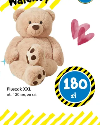 Pluszak XXL promocja w Tedi