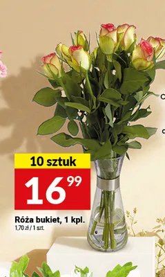 Róża bukiet promocja w Twój Market