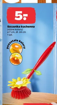 Szczotka kuchenna promocja w Netto