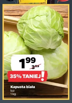 Kapusta biała promocja w Netto