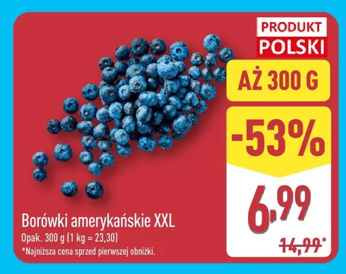 Borówki amerykańskie XXL promocja w Aldi