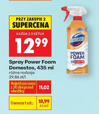 Spray Power Foam, różne rodzaje promocja w Biedronka