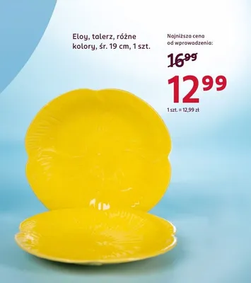 Talerz różne kolory śr. 19 cm promocja w Rossmann