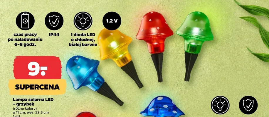 Lampa solarna LED grzybek ø 11cm wys. 23,5cm promocja w Netto