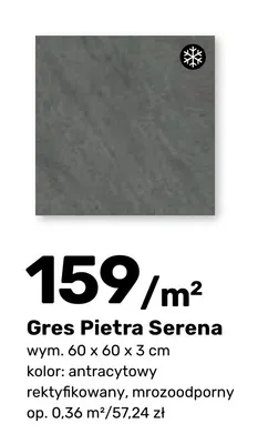 Gres Pietra Serena antracytowy 60x60x3 cm promocja w Bricomarche
